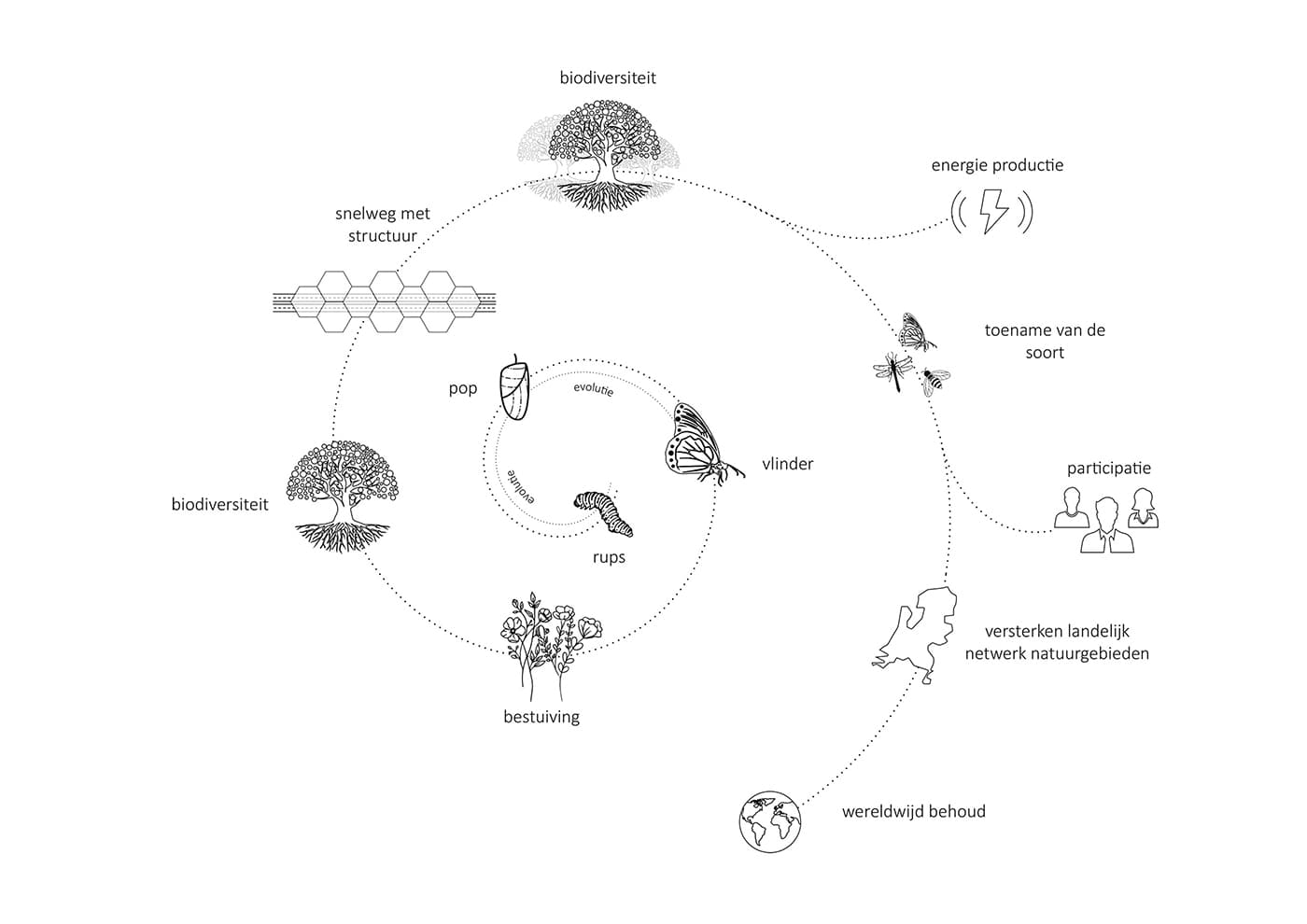 Het Vlindereffect | Solarix